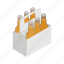 Carton Packing Systems