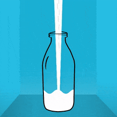 Dairy